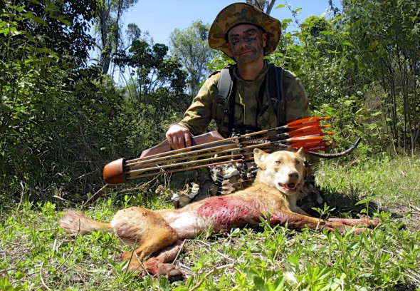 DINGO KILLED BY A HUNTER USING A CROSSBOW