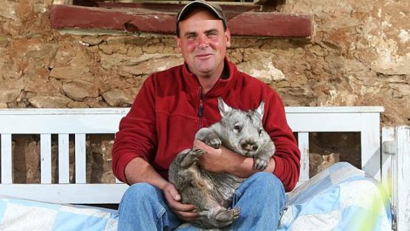 Farmer Vince Critchley with rescued wombat Noah at Rockleigh.