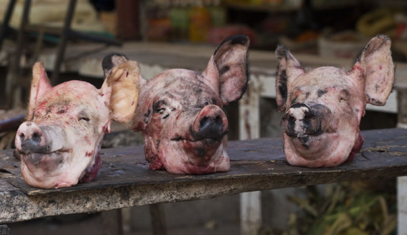 Pig heads at Yuanyang meat market of Yunnan, Vietnam.