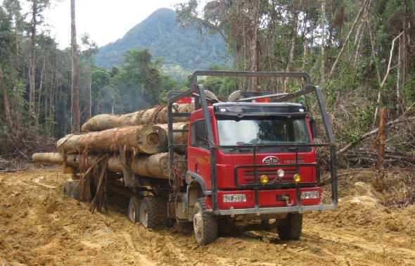 faw logging kayu