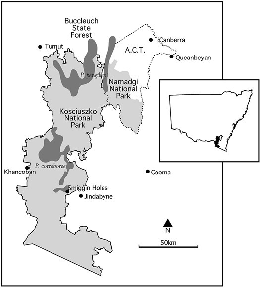 Location map for Corroboree Frogs. 