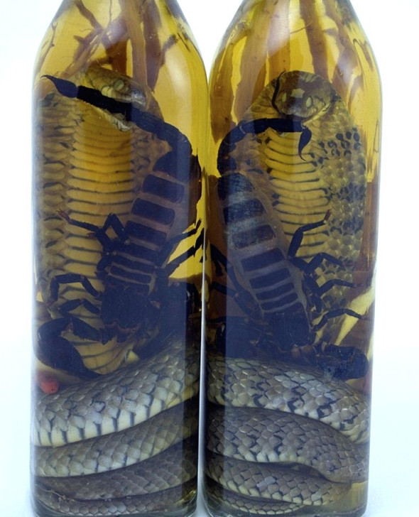 Chinese snake wine.