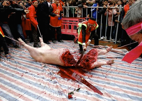 Gruesome Pig Festival for blood lust.
