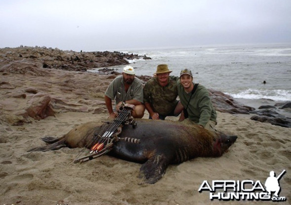 Bow hunters killing fur seals in Namibia, with AfricaHunting.com.